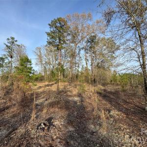 Photo #16 of McQueen, Patrick, SC