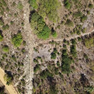 Photo #2 of McQueen, Patrick, SC