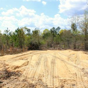 Photo #24 of McQueen, Patrick, SC