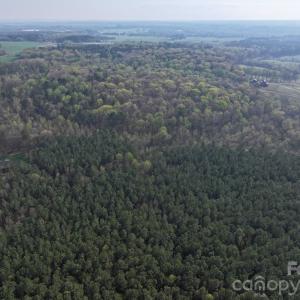 Photo #6 of Woodall, Wadesboro, NC