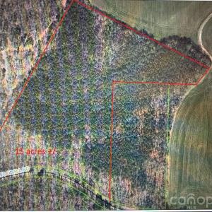 Photo #10 of Woodall, Wadesboro, NC