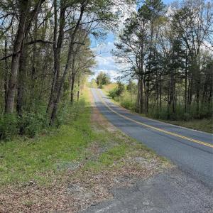 Photo #4 of Lot TBD Springwood Lakes, Chester, SC