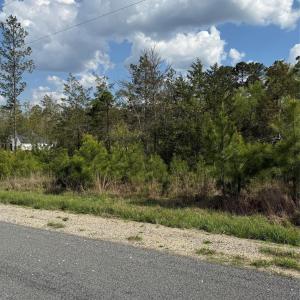 Photo #2 of Lot TBD Springwood Lakes, Chester, SC