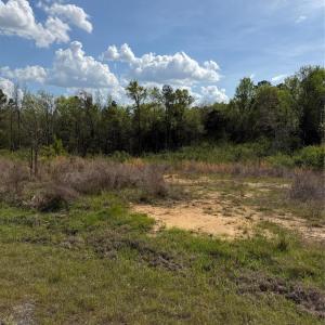 Photo #2 of Springwood Lakes, Chester, SC