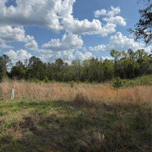 Photo #1 of Springwood Lakes, Chester, SC