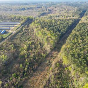 Photo #21 of Sunrise, Kershaw, SC