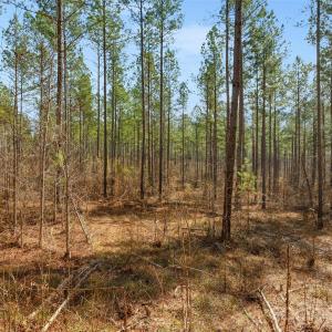 Photo #21 of Peacehaven, McConnells, SC