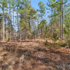 Photo #26 of Peacehaven, McConnells, SC