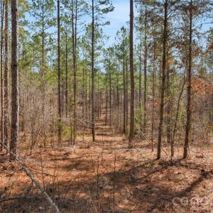 Photo #22 of Peacehaven, McConnells, SC