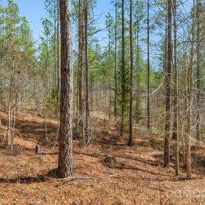 Photo #24 of Peacehaven, McConnells, SC