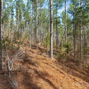 Photo #20 of Peacehaven, McConnells, SC