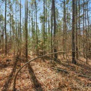 Photo #30 of Peacehaven, McConnells, SC