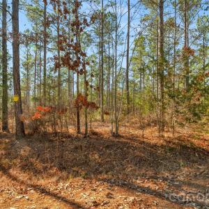 Photo #10 of Peacehaven, McConnells, SC