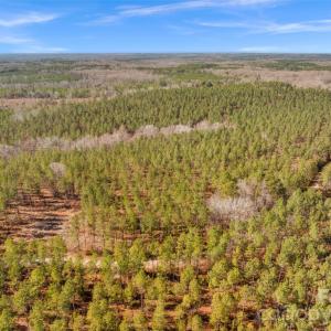 Photo #7 of Peacehaven, McConnells, SC