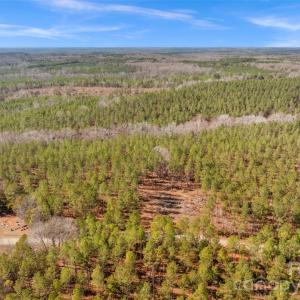 Photo #38 of Peacehaven, McConnells, SC