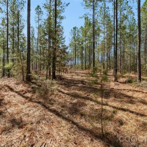 Photo #27 of Peacehaven, McConnells, SC