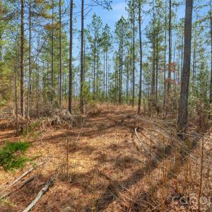 Photo #31 of Peacehaven, McConnells, SC