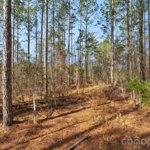 Photo #28 of Peacehaven, McConnells, SC