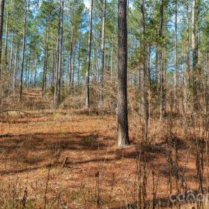 Photo #11 of Peacehaven, McConnells, SC