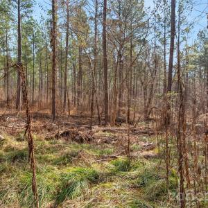 Photo #15 of Peacehaven, McConnells, SC