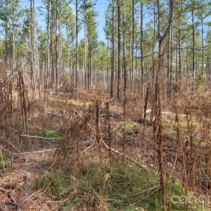 Photo #17 of Peacehaven, McConnells, SC