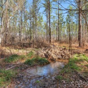 Photo #16 of Peacehaven, McConnells, SC