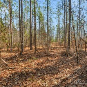 Photo #29 of Peacehaven, McConnells, SC