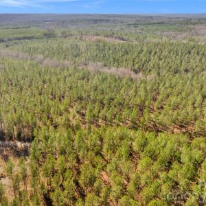 Photo #2 of Peacehaven, McConnells, SC