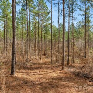 Photo #18 of Peacehaven, McConnells, SC