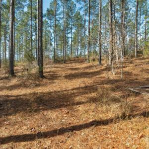 Photo #19 of Peacehaven, McConnells, SC