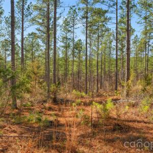 Photo #3 of Peacehaven, McConnells, SC