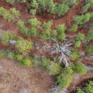 Photo #42 of Peacehaven, McConnells, SC