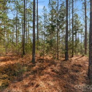 Photo #25 of Peacehaven, McConnells, SC