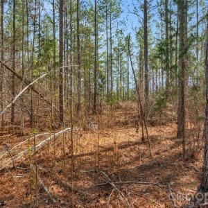 Photo #33 of Peacehaven, McConnells, SC