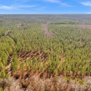 Photo #35 of Peacehaven, McConnells, SC