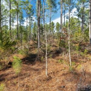 Photo #23 of Peacehaven, McConnells, SC