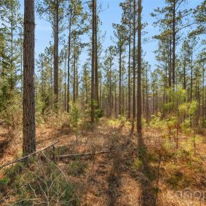 Photo #4 of Peacehaven, McConnells, SC