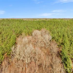 Photo #40 of Peacehaven, McConnells, SC