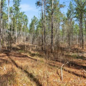 Photo #13 of Peacehaven, McConnells, SC