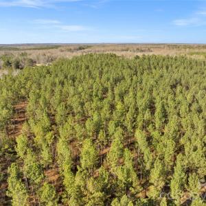 Photo #12 of Peacehaven, McConnells, SC