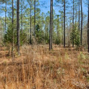 Photo #38 of Peacehaven, McConnells, SC