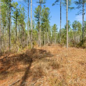 Photo #35 of Peacehaven, McConnells, SC