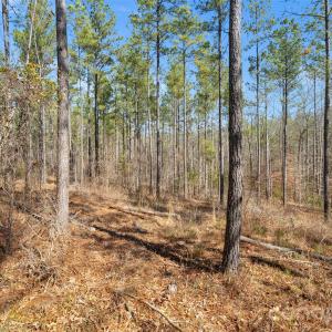 Photo #22 of Peacehaven, McConnells, SC