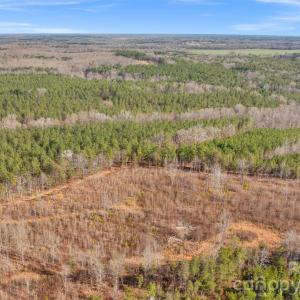 Photo #32 of Peacehaven, McConnells, SC