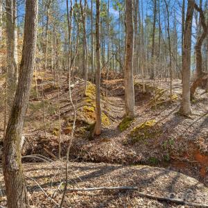 Photo #39 of Peacehaven, McConnells, SC