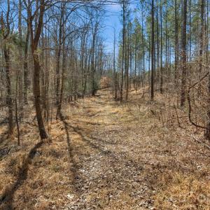 Photo #27 of Peacehaven, McConnells, SC