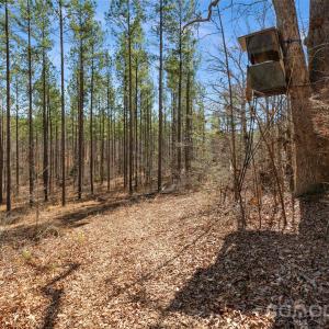 Photo #14 of Peacehaven, McConnells, SC