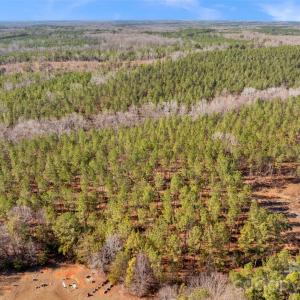 Photo #43 of Peacehaven, McConnells, SC