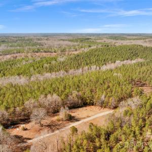 Photo #36 of Peacehaven, McConnells, SC