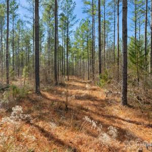 Photo #3 of Peacehaven, McConnells, SC